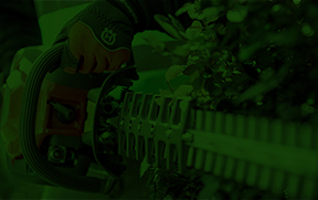 cortasetos verde b