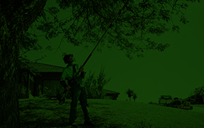 podadora de altura verde